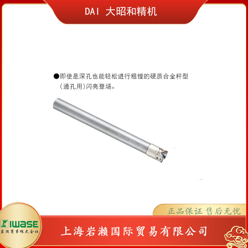 BIG DAISHOWA大昭和精机，小径两刃粗镗ST14W-MW16-110