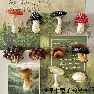 ������Ͼ����㹽Ģ�������N�����b��N����Ҿ��b�Ʒ�����N���w