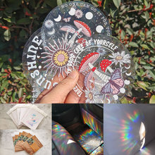 RPS053-126���Ⲷ���Ų�Suncatcher�ʺ��⾵���粣����PVC��ײ��