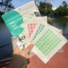 Большой зелёный пакет, 1 упаковка, 3 пластины: Розовый, Синий, Зелёный