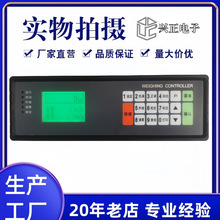 WEIGHING CONTROLLER称重控制器 BST100-E81型电子皮带秤控制仪
