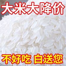 大米10斤批發五常稻花香東北長粒香米農家自產2022年新米包郵代發