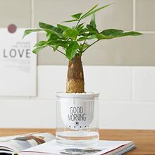 �lؔ���k���҃Ⱥ��B�Gֲ����С���Ի��ܵ��m�G�}ˮ�����ֲ���J�C