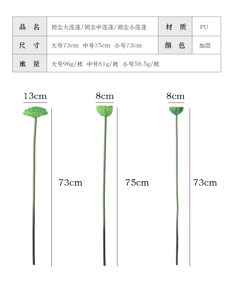 初尘荷花系列_07.jpg