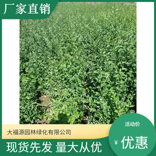 ���������l����֦���G�̶� �r�񃞻� Ҏ���Rȫ  �����r��