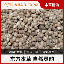 �����ʾ���ԭ�����l�����o���{�㱾�ݾ���Pyronin����܇����