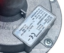 �����FMF3115200ȼ���{���y������ƊWFiorentini