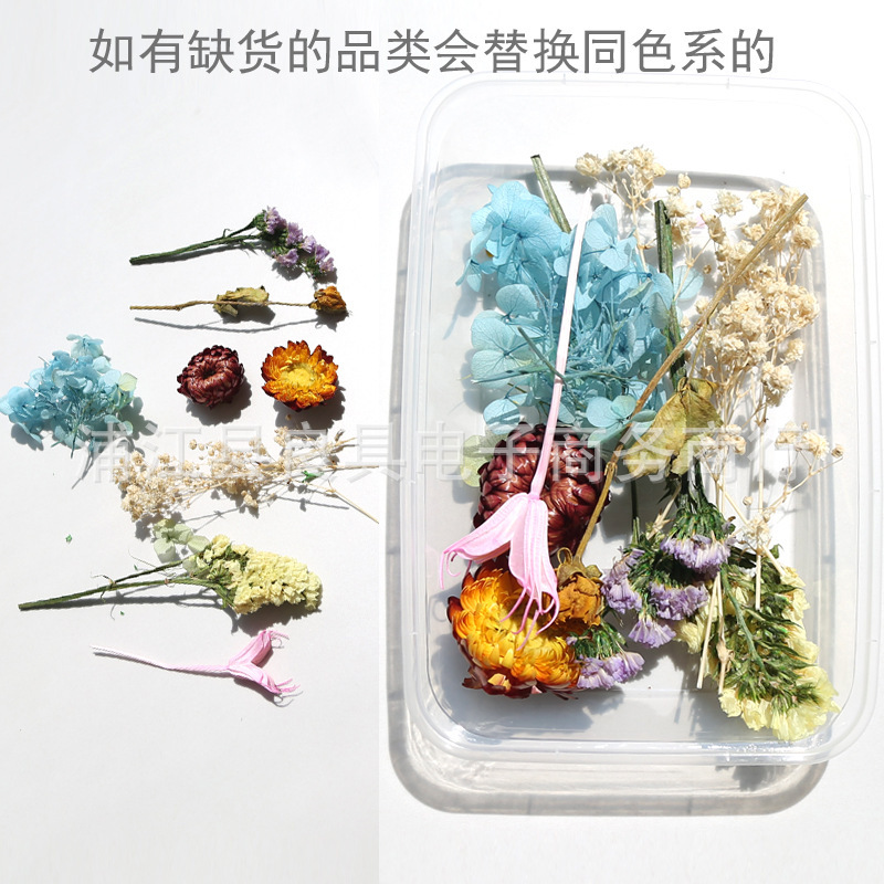 植物松果磁力冰箱贴干花果实种子装饰DIY材料包幼儿园创意手工|undefined
