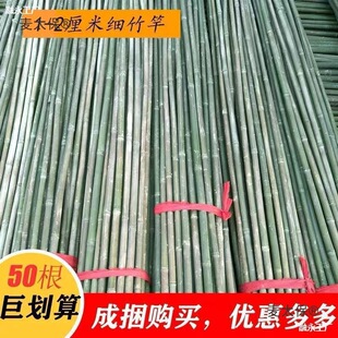 Bamboo Poles for Garden Trellis 2m Bean Cucumber Climbing Trellis Bamboo Fence Support Rod Metabo
