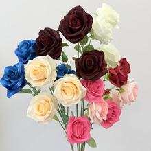 ���Sֱ�N3�^õ�廨��֧�ʯõ���滨õ�廨��Y·����c�bٻ�