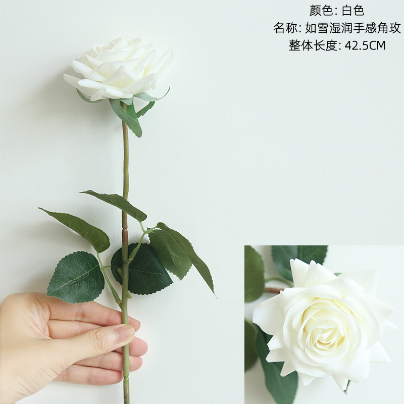 하얀색