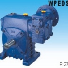 WPE 双级蜗轮蜗杆减速机 可配电机  杭州万杰