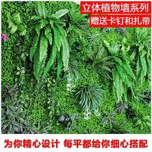 ֲﲨ˹~ɭϵYb҃Gֲާ~Ӽٻƺ