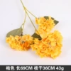 Three-headed girlfriends hydrangea-orange