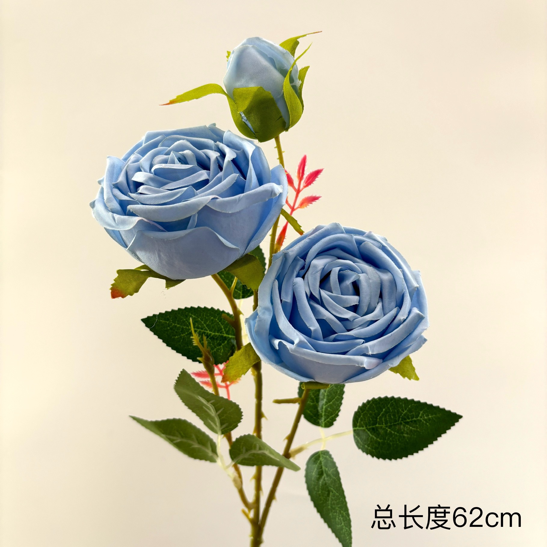 공주 장미 3송이