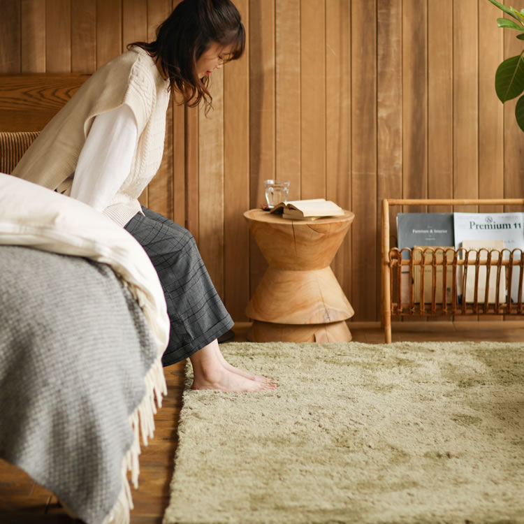 Carpet for Bedroom Bedside, Living Room Coffee Table, Bathroom Absorbent Floor Mat, Home Modern Minimalist Ins Style