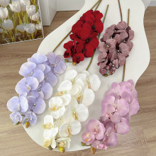 �S�����l�����֦�͹�10�^�ָд󻨺����m�ٻ��b͏d�[�����滨