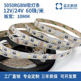 批发5050RGBW四合一低压led灯带 酒吧KTV娱乐场所12v24v自粘灯条