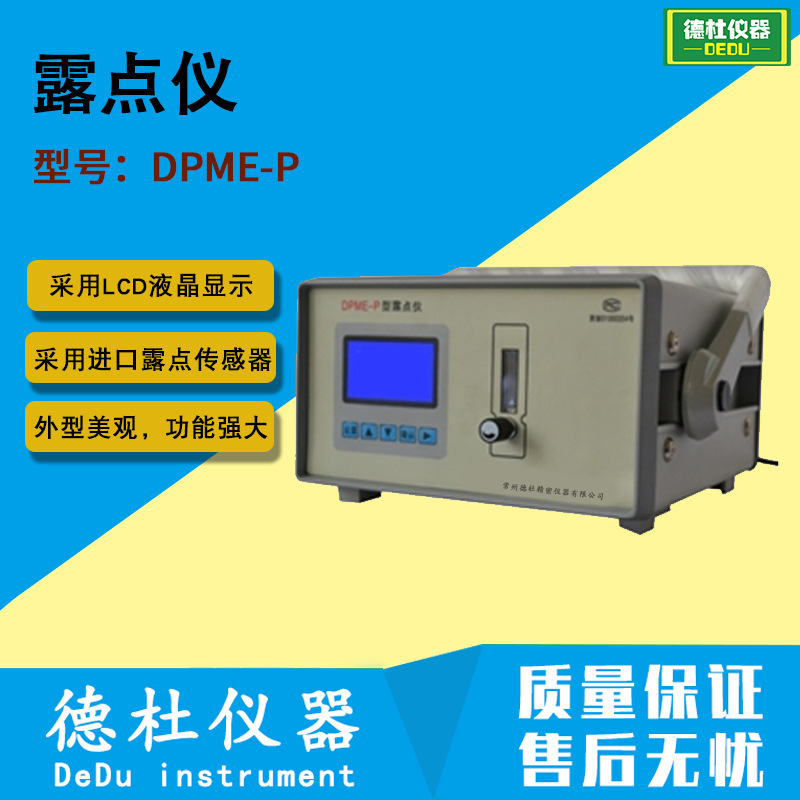 DPME-P型露点仪 露点分析仪 精密露点测定仪