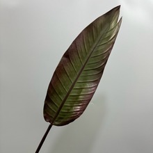 可观仿真PU大号天堂鸟叶植物叶子艺术插花落地艺单片叶粽叶树叶