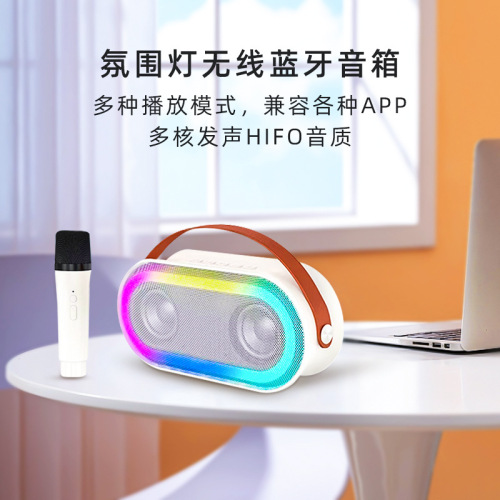 Custom P6 Bluetooth Outdoor Mini Speaker with Wireless Microphone – Perfect for Home KTV, Kids, and Everyone to Enjoy Karaoke at Home