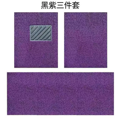 floor mat, waterproof, universal, flexible — Universal Foot Pad - black-and-purple-full-car-three-piece-set-three-pieces