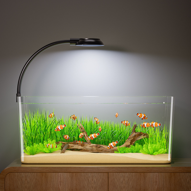 Tanque de peces redondo pequeño tanque de peces dorados sala de estar casera de peces cuadrados tanque de peces PET paisajismo transparente ecología de hierbas acuáticas
