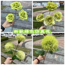 �¿�Gɫ��c���滨���lɭϵ�Gɫõ��¶ɏ��Y��ܛ�b�Ɍ��bٻ�