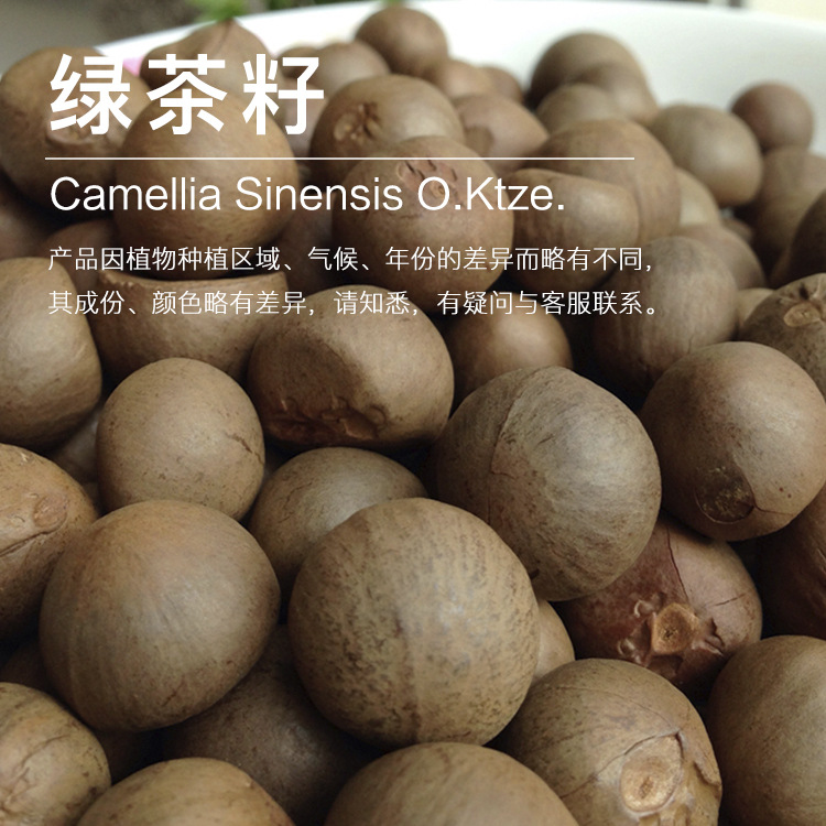 ���ҹ�Ӧ�̲��� ��ե�̲����� ֲ�� ������ ��ױƷԭ������