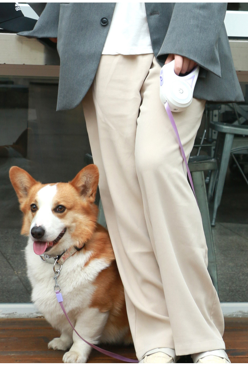 924a8754-3312-4763-8267-00003ee65447.jpe