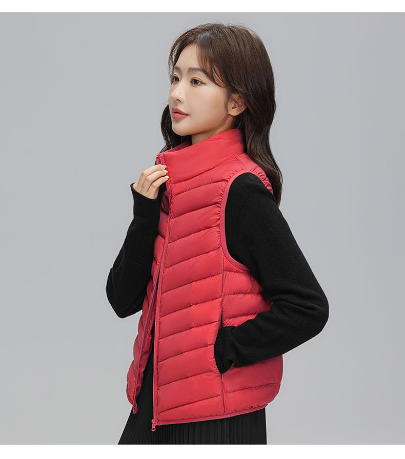 빅 레드