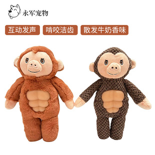 �������ҧ�������zë�q�lĥ���␞���X�»���ë����ߌ������