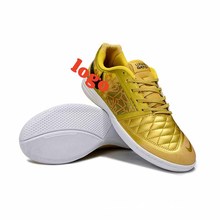 ����S�����籭�羳����Ь�҃ȱ�ِС��֮��ICƽ��Lunar Gato II