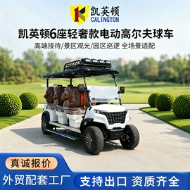 高尔夫球车;电动观光车;其他电动车