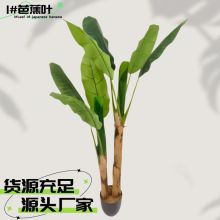 ����Ž����쾰�Gֲ�����҃ȾƵ��c�b� �Ꭷ�����㽶�����l