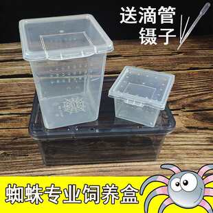 ֩����B�И䗫��������B��֩��С���������B��������B�����x