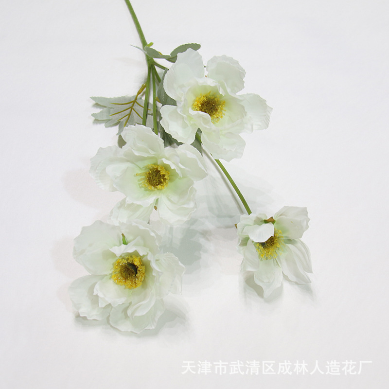 유백색