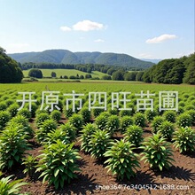 2026����ˮϞ�� �����~ˮϞС�� С�~Ůؑ�G�h�AֲˮϞ����