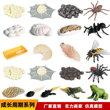 �������ģ�͔[����ͯ�ƽ̳��L�����۷亣��֩�����ܺ������z���