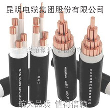 ������|�S��늹����|ZC-YJV ��ȼ�~о������ϩ�o�׵͉������|