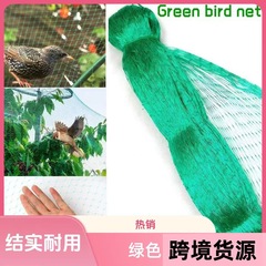 クロスボーダーグリーン防鳥網ブロック鳥網ポリエチレン押出網厚い網養殖網網ブロック鳥網カバー