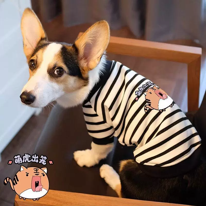 Одежда для собак Весна и Осень Тонкий Кики Шибер Такс Кики Осень и Зима Маленькая собака Осень и Зима Одежда для домашних животных Полосатый свитер