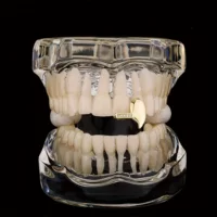 Трансграничный хип-хоп глянцевый циркон клыки зубы teeth grills Европейские и американские хипстеры зубы настоящие золотые гальванические брекеты
