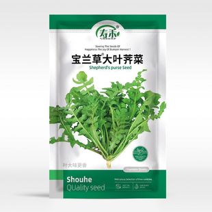 �j�˷N�Ӵ��~�N�����ļ��̨���Դ�Ұ���߲��r����˴�ȫ�＾�˷N