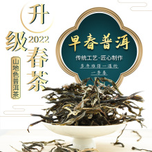 山地色茶云南大叶种晒青毛茶老树生茶普洱批发临沧茶区冰岛普洱茶