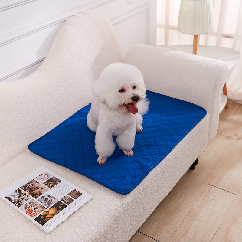 ペット用おむつは水洗いできます。犬用おむつは滑り止めで吸水しやすいです。|undefined
