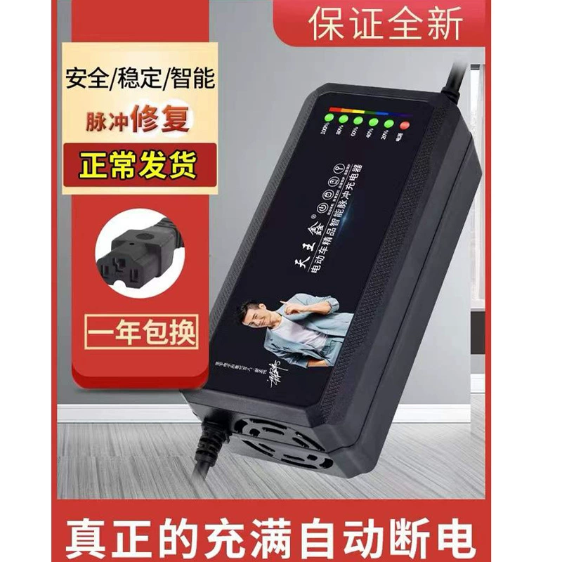 Электрический заряжатель трицикла батареи бутылки 64 Вольта V12AH20a An Fujita St. Baolong Biewenjima