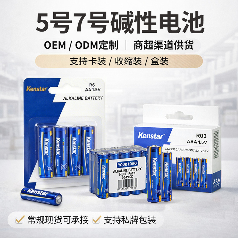 No. 5 and No. 7 Alkaline Batteries Oem/Odm Custom Branding Aa/Aaa Supermarket Supply Card-Packed Shrink-Packed Boxed Packaging