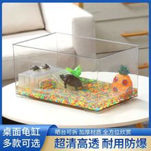 白鱼缸新款六角恐龙乌龟缸水缸海水缸龟缸生态桌面缸造景厂家