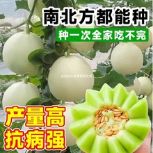 ��Ƥ��ϷN�Ѱ��]�����̖��ϷN�Ӄ��|�߲˹Ϲ��N��ͥԺ�̨�߮a